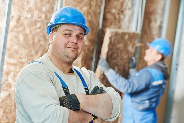 Best Commercial Insulation in Bethesda, OH